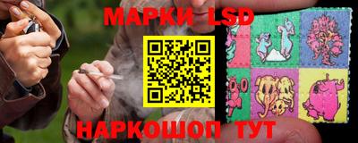 гашик Дубна