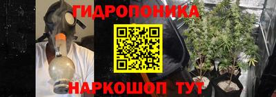 гашик Дубна