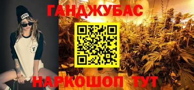 гашик Дубна