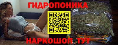 стафф Донецк