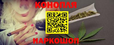 гашик Дубна