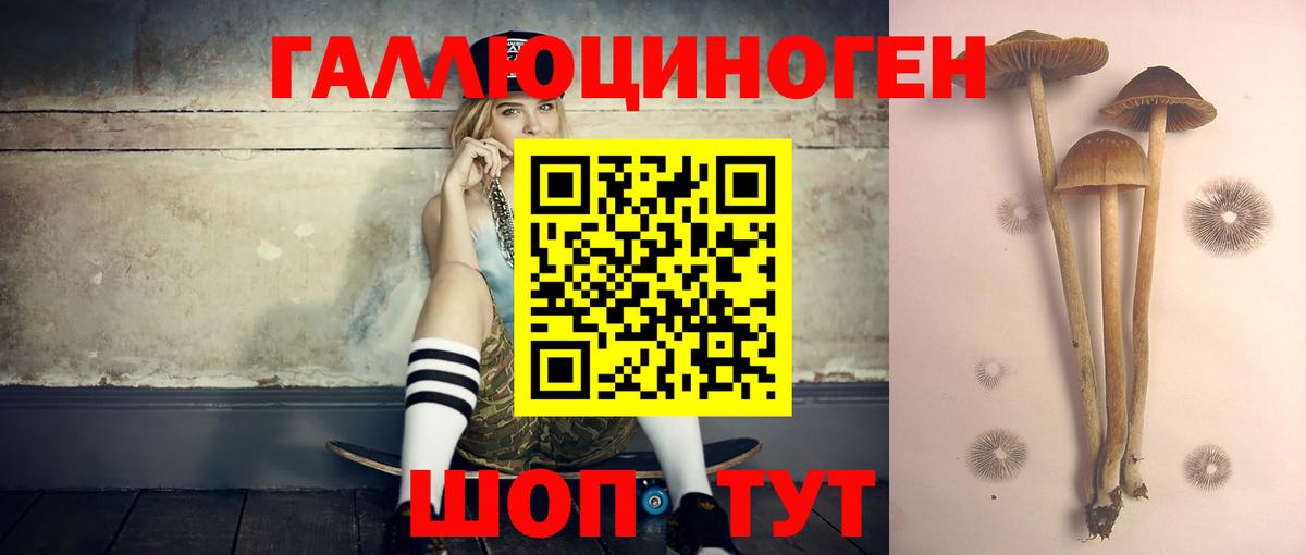 Псилоцибиновые грибы Cubensis  Вход с VPN  Псилоцибиновые грибы мухоморы  Кондопога 